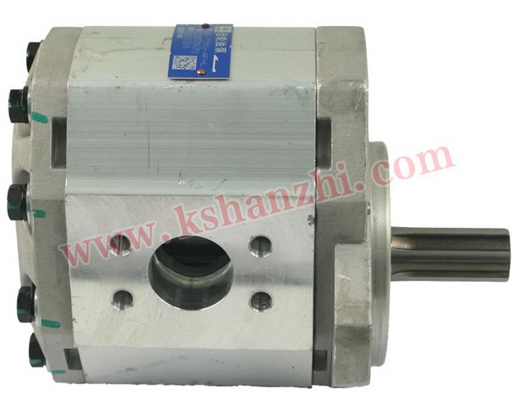 R450-601300-000/CBQ-F550-AFHL Hydraulic Pump For CPCD40~50 (R Series)/4105
